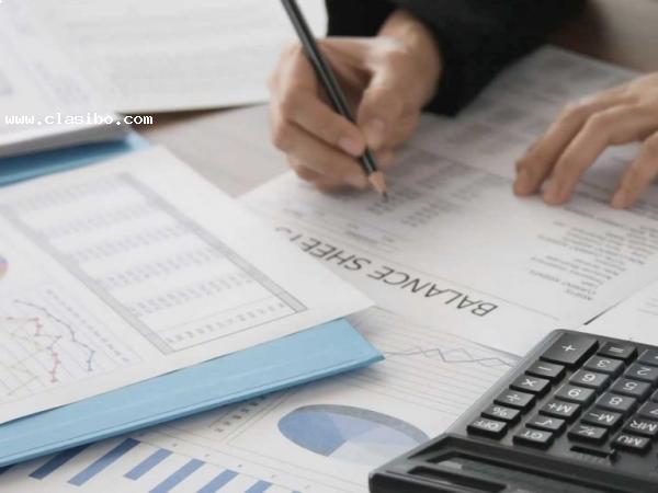 Auditor senior busca apoyar empredimiento en SANTA CRUZ