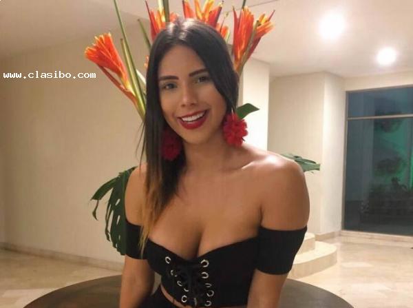 Busco trabajo en empresa constructora - Tarija